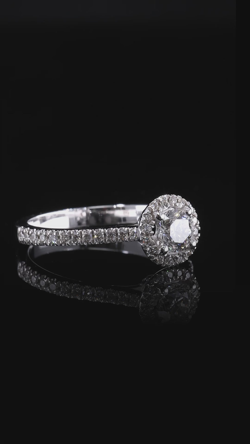 CELESTE HALO | Ring White Gold